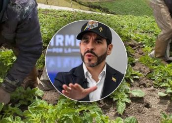 De La Espriella anuncia revisión de las APPA y promete derogarlas para impulsar el agro