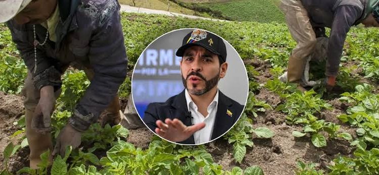 De La Espriella anuncia revisión de las APPA y promete derogarlas para impulsar el agro