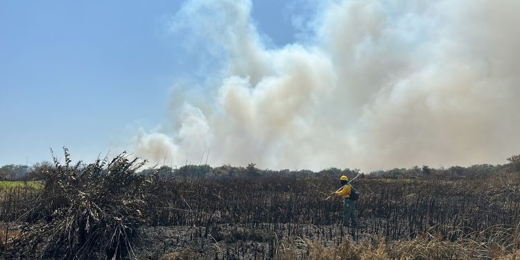 Alcaldía de Barranquilla emite recomendaciones de salud ante humareda por quemas en Isla Salamanca