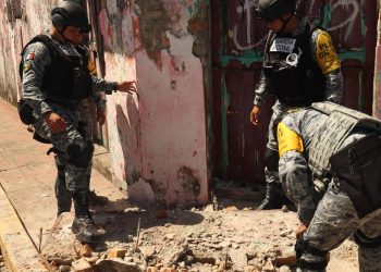 Sheinbaum confirmó que “no se reportaron daños” por terremoto de magnitud 7,4