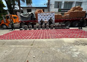 Cayó cargamento millonario: hallan más de una tonelada de cocaína camuflada entre 34 toneladas de cemento