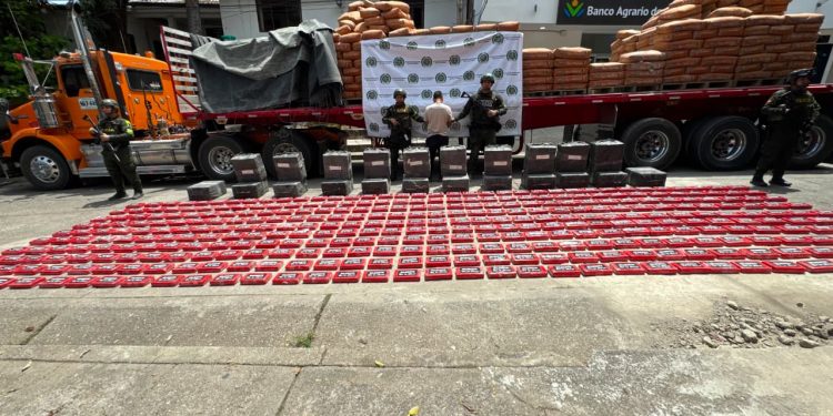 Cayó cargamento millonario: hallan más de una tonelada de cocaína camuflada entre 34 toneladas de cemento