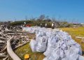 Retiran 11 toneladas de residuos de la Ciénaga de los Manatíes para avanzar en su recuperación ambiental
