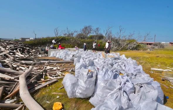 Retiran 11 toneladas de residuos de la Ciénaga de los Manatíes para avanzar en su recuperación ambiental